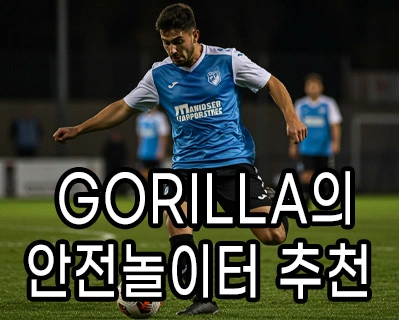 고릴라의 안전놀이터 추천입니다