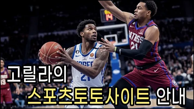 고릴라의 스포츠토토사이트 안내