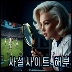 안전놀이터가 검증하는 사설사이트