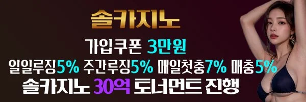 먹튀보증 메이저놀이터 솔카지노